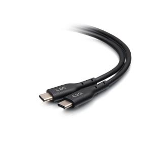 USB-C Male to USB-C Male Cable (20V 5A) - USB 2.0 (480Mbps) - 45cm