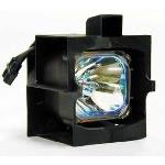Replacement Projector Lamp (r9841100)